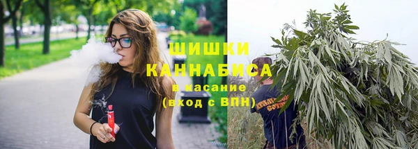 соль ск Новодвинск