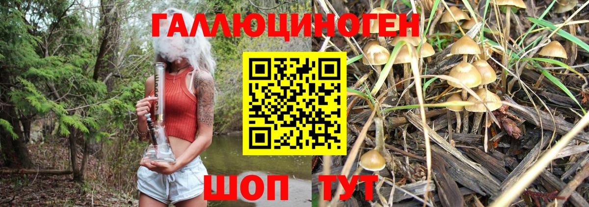 Галлюциногенные грибы ЛСД Ейск