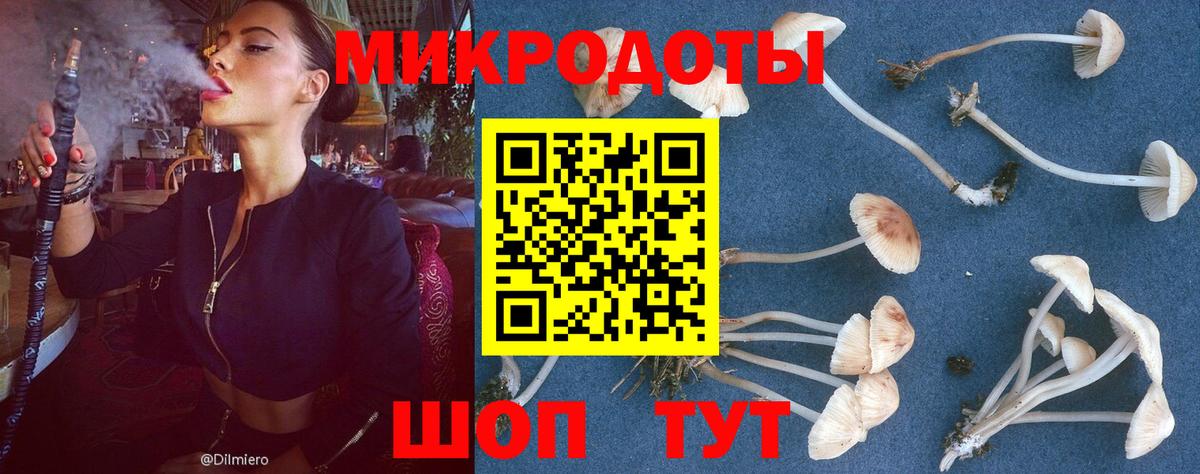 Галлюциногенные грибы Magic Shrooms Ейск