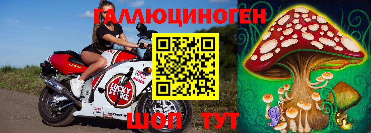 Ейск  Псилоцибиновые грибы ЛСД  Псилоцибиновые грибы ЛСД  Вход с VPN 