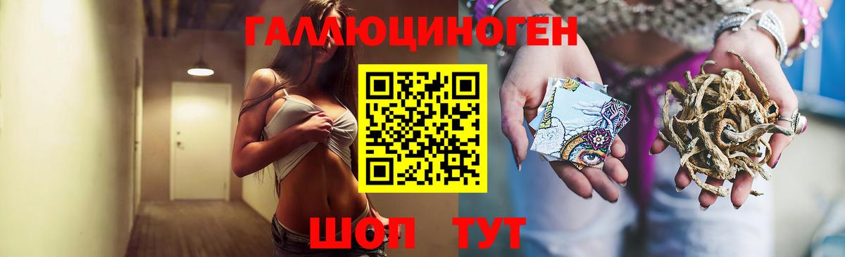 продажа наркотиков  Галлюциногенные грибы Cubensis  Ейск  Псилоцибиновые грибы мухоморы 